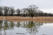 DSC_0100.JPG DSC_0100.JPG