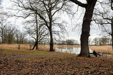 DSC_0134.JPG DSC_0134.JPG