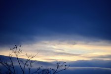 DSC_0062.JPG