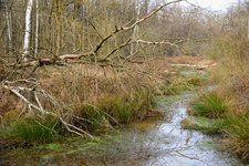 DSC_0046.JPG DSC_0046.JPG