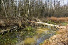 DSC_0057.JPG DSC_0057.JPG