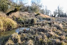 DSC_0546.JPG DSC_0546.JPG