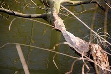 DSC_0119.JPG DSC_0119.JPG