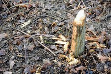 DSC_0141.JPG DSC_0141.JPG