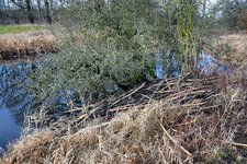 DSC_0215.JPG DSC_0215.JPG