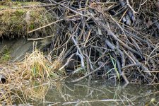 DSC_0222.JPG DSC_0222.JPG