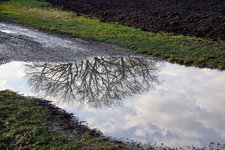 DSC_0560.JPG