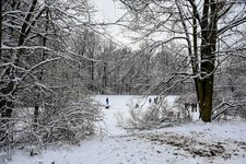 DSC_0117.JPG