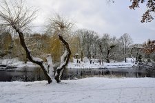 DSC_0045.JPG