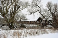 DSC_0195.JPG DSC_0195.JPG