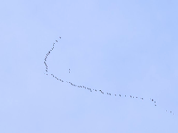 IMG_8401.PNG IMG_8401.PNG