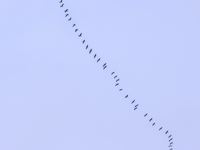IMG_8404.PNG IMG_8404.PNG