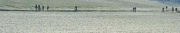 Ameisenstraße.jpg