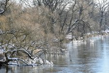 DSC_0409.JPG