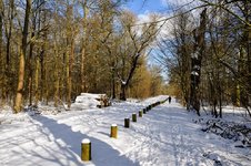 DSC_0210.JPG