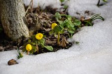 DSC_0012.JPG DSC_0012.JPG