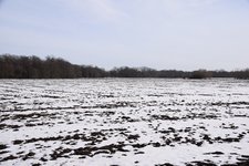 DSC_0146.JPG