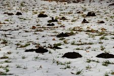 DSC_0033.JPG DSC_0033.JPG