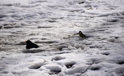 DSC_0127.JPG DSC_0127.JPG