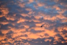 DSC_0097.JPG
