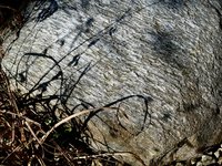 klein_ - 5 (19).jpg