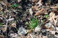 DSC_0293.JPG