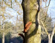 DSC_0313.JPG DSC_0313.JPG