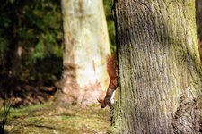DSC_0412.JPG DSC_0412.JPG