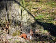DSC_0524.JPG DSC_0524.JPG