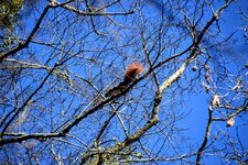 DSC_0396.JPG DSC_0396.JPG