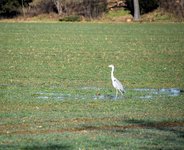 DSC_0124.JPG