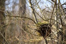 DSC_0238.JPG DSC_0238.JPG