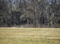 DSC_0279.JPG DSC_0279.JPG