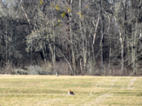 IMG_8461.PNG IMG_8461.PNG