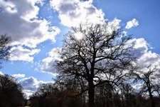 DSC_0206.JPG