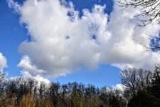 DSC_0081.JPG