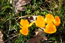 DSC_0054.JPG