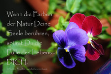 wenn-die-farben-der-natur-deine-seele-berc3bchren-spc3bcrst-du-die-fc3bclle-des-lebens-dich-ko...jpg