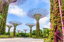 Singapur-Garden-by-the-bay.jpg