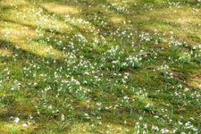 DSC_0044.JPG DSC_0044.JPG