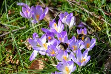 DSC_0175.JPG DSC_0175.JPG