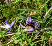 DSC_0029.JPG DSC_0029.JPG