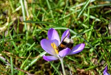 DSC_0043.JPG DSC_0043.JPG