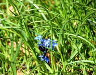 DSC_0016.JPG DSC_0016.JPG