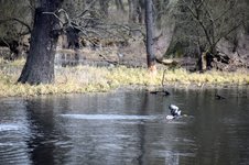 DSC_0142 (1).JPG