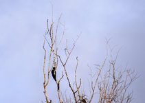 DSC_0067.JPG
