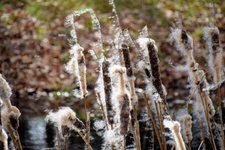 DSC_0312.JPG