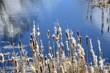 DSC_0347.JPG