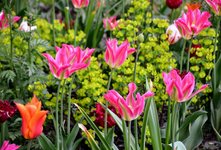 DSC_0437.JPG