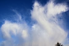 DSC_0028.JPG